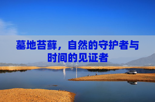 墓地苔藓，自然的守护者与时间的见证者