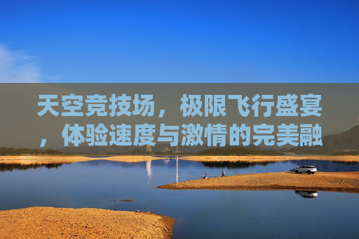 天空竞技场，极限飞行盛宴，体验速度与激情的完美融合