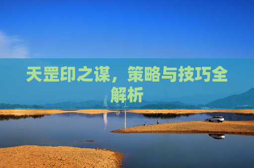 天罡印之谋，策略与技巧全解析