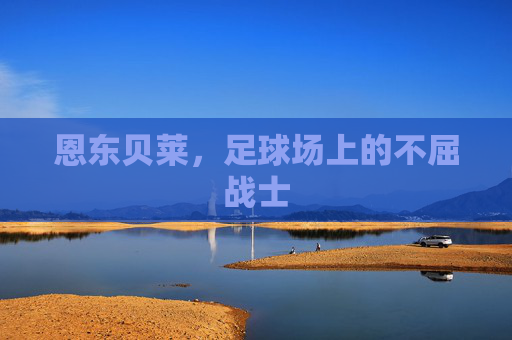 恩东贝莱，足球场上的不屈战士