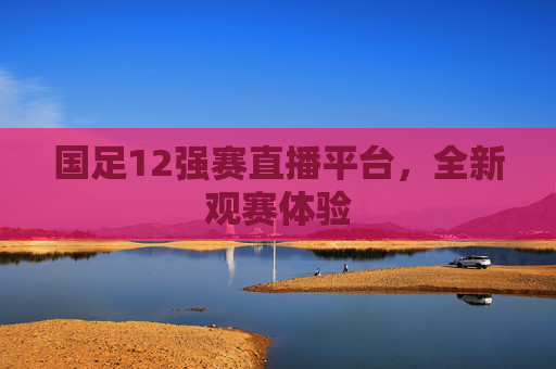 国足12强赛直播平台，全新观赛体验