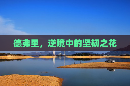德弗里，逆境中的坚韧之花