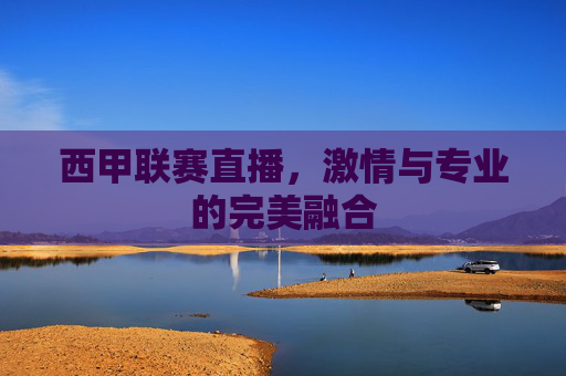 西甲联赛直播，激情与专业的完美融合