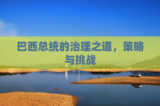 巴西总统的治理之道，策略与挑战
