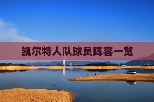 凯尔特人队球员阵容一览
