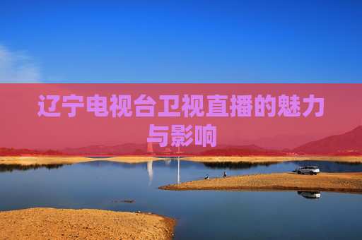 辽宁电视台卫视直播的魅力与影响