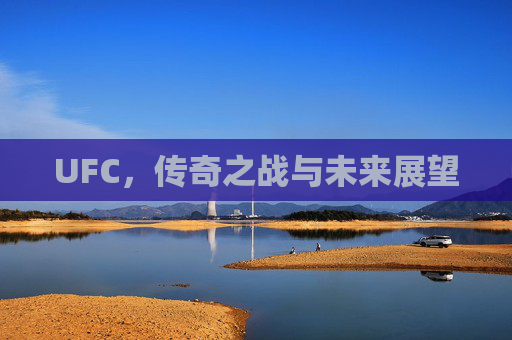 UFC，传奇之战与未来展望