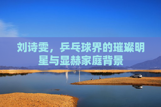 刘诗雯，乒乓球界的璀璨明星与显赫家庭背景