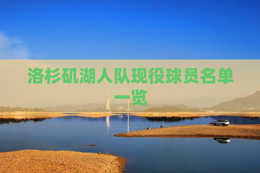 洛杉矶湖人队现役球员名单一览