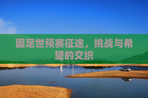 国足世预赛征途，挑战与希望的交织