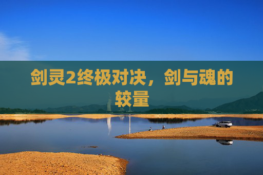 剑灵2终极对决，剑与魂的较量