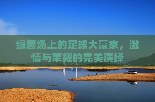 绿茵场上的足球大赢家，激情与荣耀的完美演绎