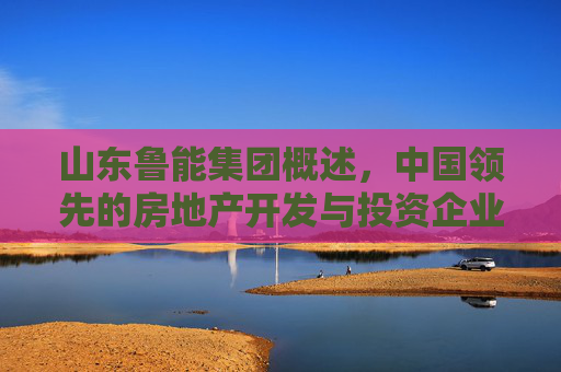 山东鲁能集团概述，中国领先的房地产开发与投资企业
