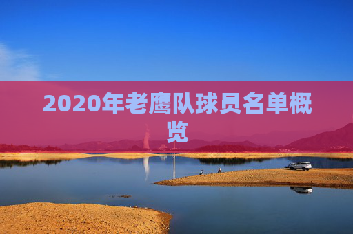 2020年老鹰队球员名单概览