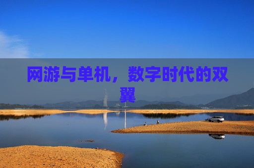 网游与单机，数字时代的双翼