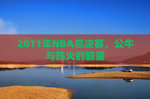 2011年NBA总决赛，公牛与热火的较量
