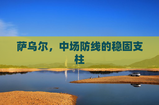 萨乌尔，中场防线的稳固支柱