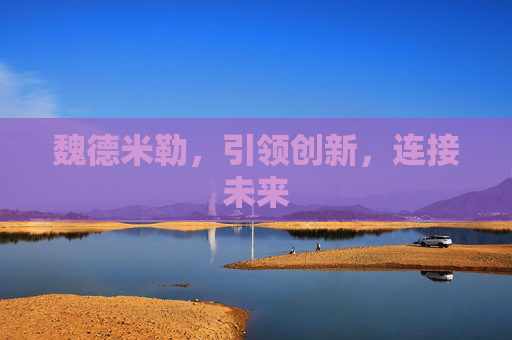 魏德米勒，引领创新，连接未来