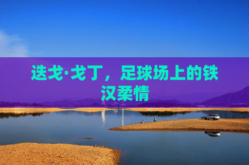 迭戈·戈丁，足球场上的铁汉柔情