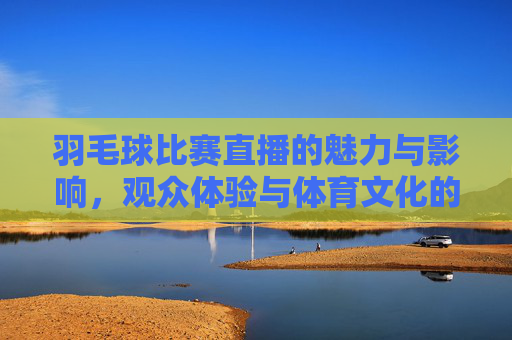 羽毛球比赛直播的魅力与影响，观众体验与体育文化的传播
