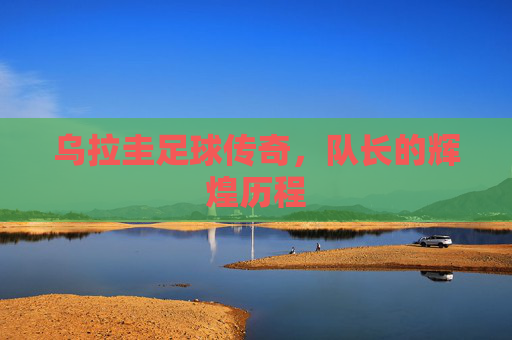乌拉圭足球传奇，队长的辉煌历程