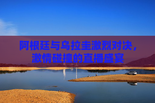 阿根廷与乌拉圭激烈对决，激情碰撞的直播盛宴