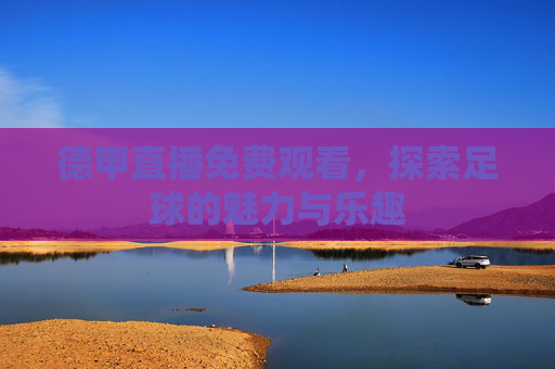 德甲直播免费观看，探索足球的魅力与乐趣