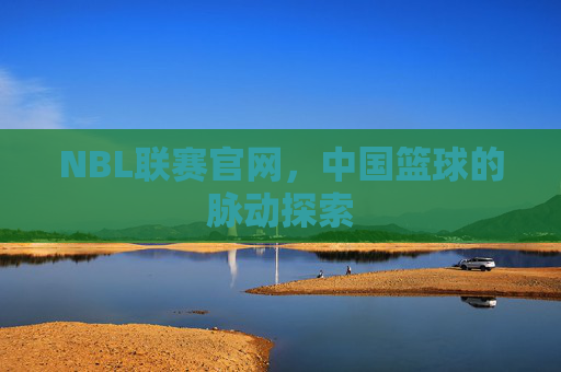 NBL联赛官网，中国篮球的脉动探索