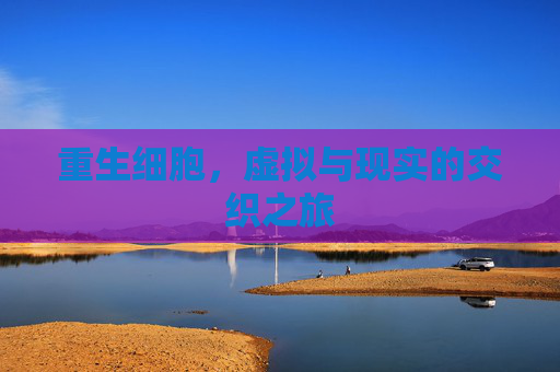 重生细胞,虚拟与现实的交织之旅 重生细胞,虚拟与现实的交织之旅