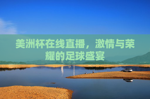 美洲杯在线直播，激情与荣耀的足球盛宴