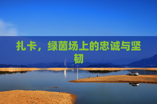 扎卡，绿茵场上的忠诚与坚韧