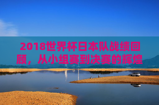 2018世界杯日本队战绩回顾，从小组赛到决赛的辉煌与挑战