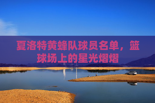 夏洛特黄蜂队球员名单，篮球场上的星光熠熠