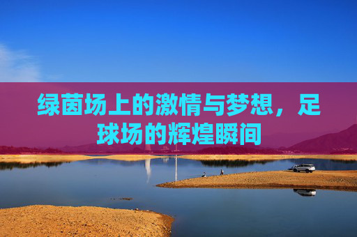 绿茵场上的激情与梦想，足球场的辉煌瞬间