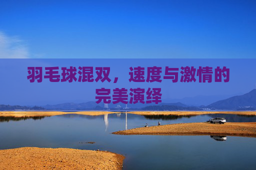 羽毛球混双，速度与激情的完美演绎