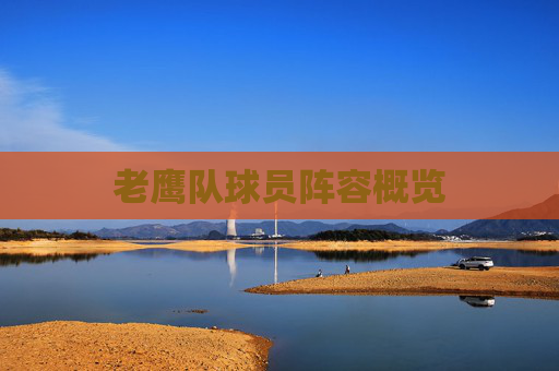 老鹰队球员阵容概览