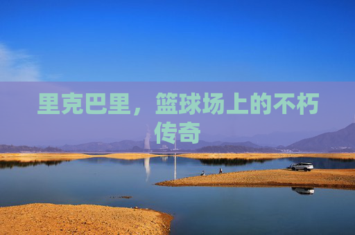 里克巴里，篮球场上的不朽传奇