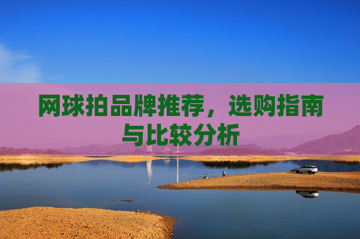 网球拍品牌推荐，选购指南与比较分析