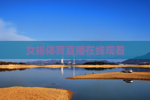 女排体育直播在线观看