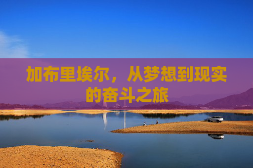 加布里埃尔，从梦想到现实的奋斗之旅