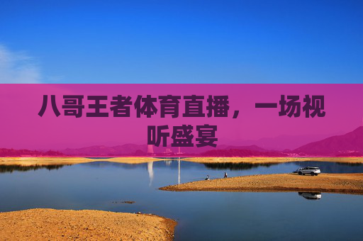 八哥王者体育直播，一场视听盛宴