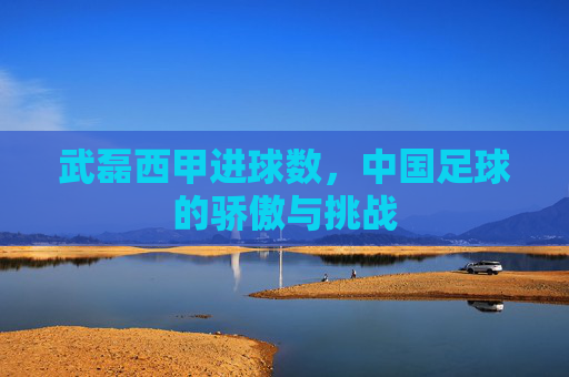 武磊西甲进球数，中国足球的骄傲与挑战