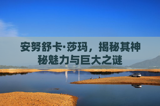 安努舒卡·莎玛，揭秘其神秘魅力与巨大之谜