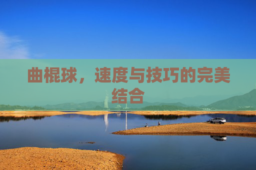 曲棍球，速度与技巧的完美结合