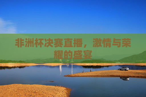 非洲杯决赛直播，激情与荣耀的盛宴