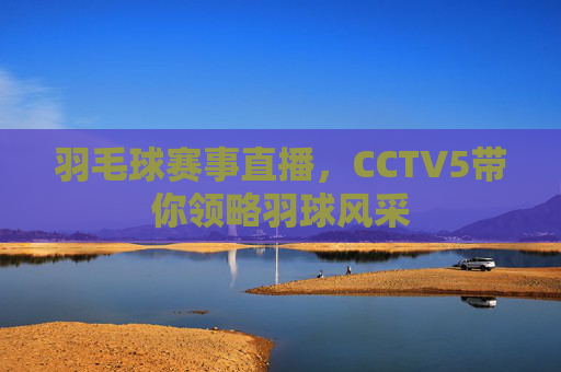 羽毛球赛事直播,CCTV5带你领略羽球风采 羽毛球赛事直播,CCTV5带你领略羽球风采