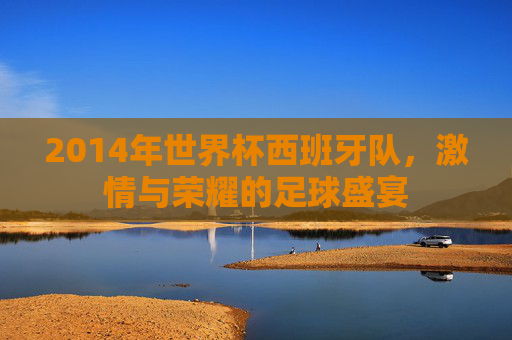 2014年世界杯西班牙队，激情与荣耀的足球盛宴