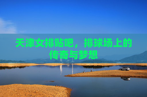 天津女排贴吧，排球场上的传奇与梦想