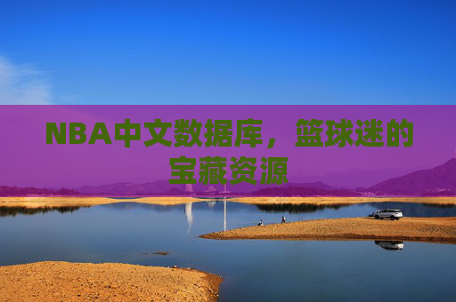 NBA中文数据库，篮球迷的宝藏资源