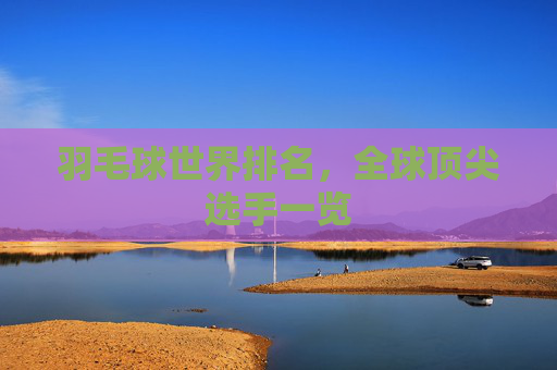 羽毛球世界排名，全球顶尖选手一览